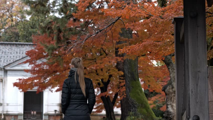 A woman strolls through a tranquil garden in Kanazawa, Japan, surrounded by vibrant red autumn foliage.