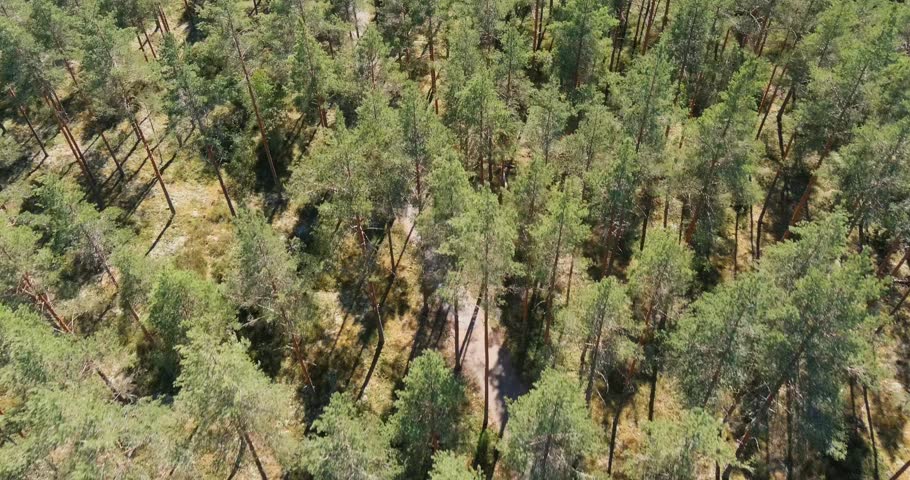 Aerial view of Jeturkasti nature trail in sunny summer weather, Teijo, Finland.