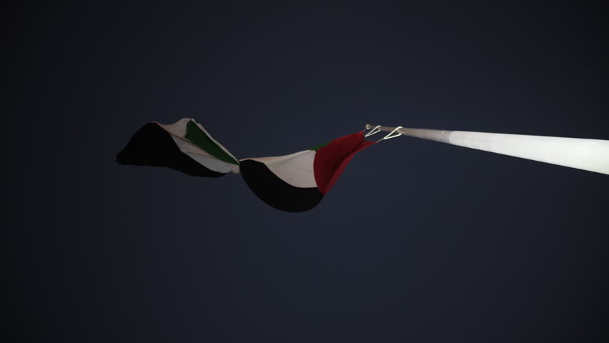 UAE flag waving on pole at night in Dubai