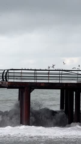 Seagulls gather near the shore on a pier and fly in the sky above a stormy sea.