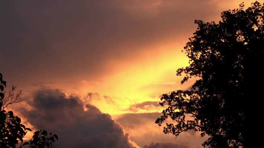 landscape trees clouds at dusk

