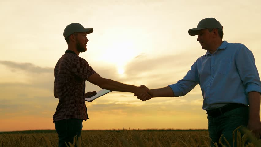 Male farmers shaking hands, wheat field. Handshake, joint work of people. Business people shake hands outdoor in sun. Business teamwork. Partners agreed concluding deal, sign of consent to shake hands