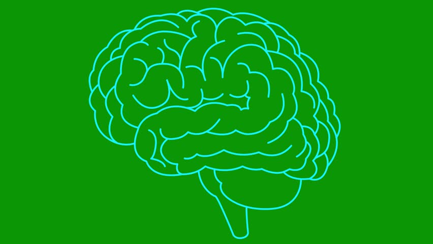 Animated linear blue symbol of brain. Icon is shaking. Concept of idea, creative, intellect, education, mental health. Line vector illustration isolated on green background.
