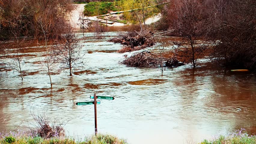The Manzanares River in El Pardo, Madrid, appears swollen and close to overflowing after continuous heavy rains in March 2025. The brown water submerges tree trunks and walking paths.
