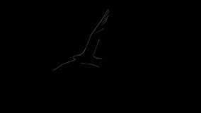 A sketchy, fluid bird animation in motion, effortlessly soaring through the scene. Ideal for dynamic visuals, storytelling, and adding a touch of elegance to your designs. - Powered by Shutterstock - Get 15% off with code: PIKWIZARD15