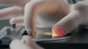 Hand of unrecognizable scientist positioning glass slide with leaf sample on illuminated microscope stage for laboratory analysis. Extreme close-up view - Powered by Shutterstock - Get 15% off with code: PIKWIZARD15