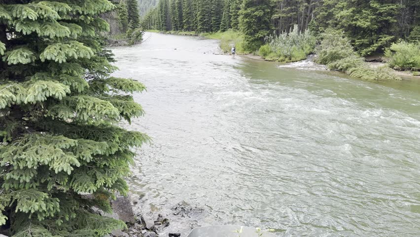 Scenic River Rapids with Mountain and Pine Trees in the Rocky Mountains.