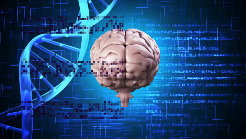 Human brain and DNA strand with digital data processing animation. Genetics, technology, science, biotechnology, research, innovation - Powered by Shutterstock - Get 15% off with code: PIKWIZARD15