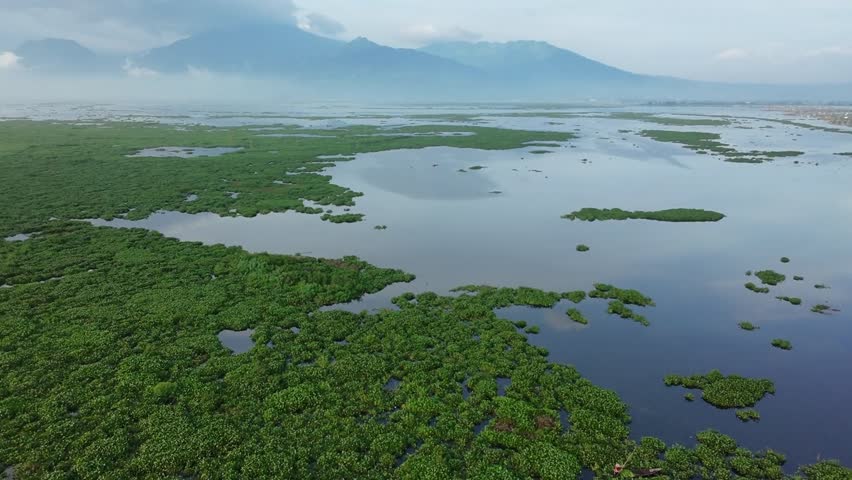 View Video Footage of Vast Swamp River Lake with Blue Reflective Water and Green Vegetation also Cloudy Sky Mountains in the Background