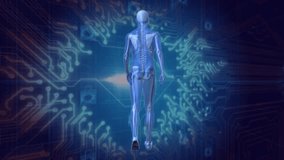 Animation of digital human anatomy with spine highlighted over futuristic data. Biotechnology, biomechanics, healthcare, technology, innovation, visualization - Powered by Shutterstock - Get 15% off with code: PIKWIZARD15