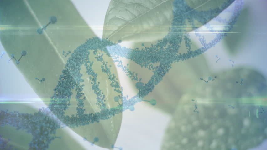 Animation of DNA strand and molecular structures over green leaves, scientific concept. Biotechnology, genetics, biology, research, innovation, environment