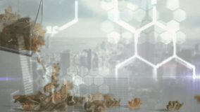 DNA strand with binary coding processing scientific data animation in lab setting. Genetics, bioinformatics, data analysis, biotechnology, laboratory, research - Powered by Shutterstock - Get 15% off with code: PIKWIZARD15