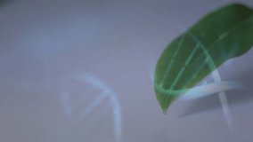 Holding digital brain hologram with green leaf overlay in school animation setting. Innovation, technology, sustainability, education, artificial intelligence, futuristic - Powered by Shutterstock - Get 15% off with code: PIKWIZARD15