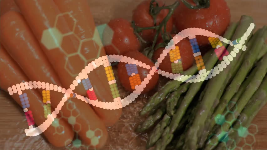 Animation of DNA strand and binary coding overlaying fresh vegetables in garden. Biotechnology, genetics, innovation, digital, agriculture, horticulture