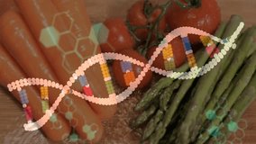 Animation of DNA strand and binary coding overlaying fresh vegetables in garden. Biotechnology, genetics, innovation, digital, agriculture, horticulture - Powered by Shutterstock - Get 15% off with code: PIKWIZARD15