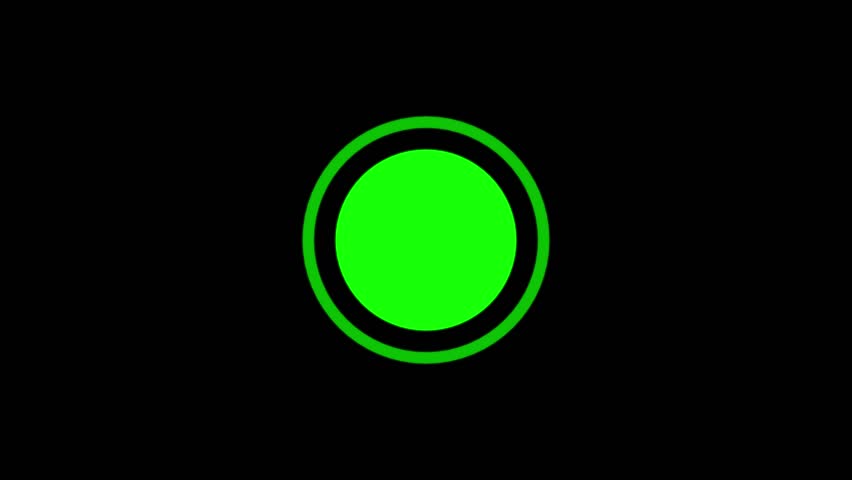 Shutterstock Video
