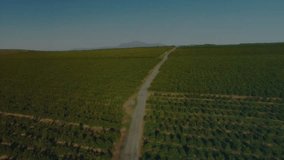 Digital envelope icon with binary code animation over lush green landscape. Cybersecurity, technology, encryption, communication, network, data - Powered by Shutterstock - Get 15% off with code: PIKWIZARD15