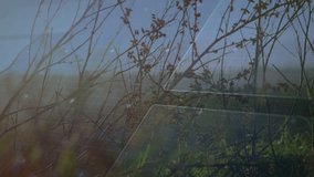 Futuristic interface with data processing animation over landscape and windmill. Technology, innovation, renewable, energy, sustainability, environment - Powered by Shutterstock - Get 15% off with code: PIKWIZARD15