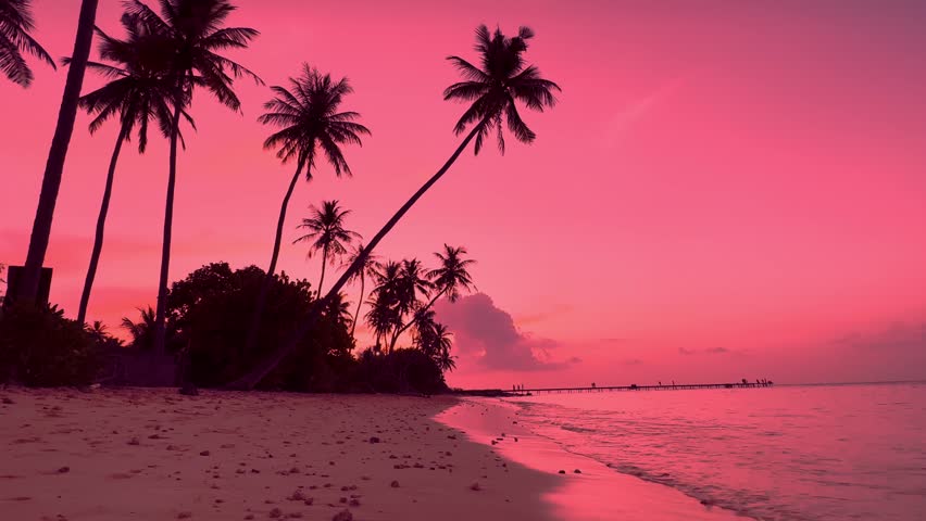 Summer with sunrise scene as palm trees on the beach