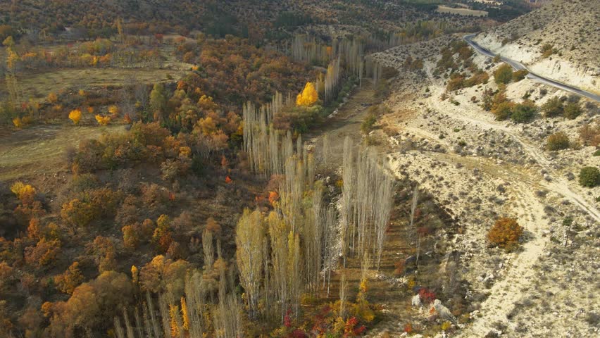 Aerial view the mountains are covered in trees in autumn season