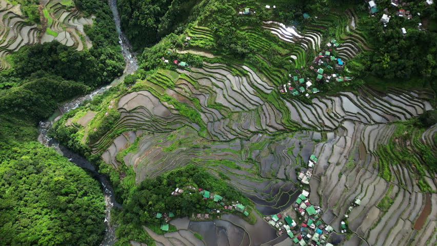 Aerial top view of picturesque Batad Rice Terraces in Ifugao Province, Luzon Island, Philippines, 4k