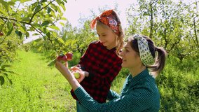 Farm family enjoys apple picking with mother and daughter in sunny orchard - Powered by Shutterstock - Get 15% off with code: PIKWIZARD15