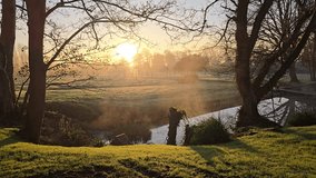 Golden Sunrise Through Trees with Natural Light Orb and Morning Mist – Peaceful Countryside Scene - Powered by Shutterstock - Get 15% off with code: PIKWIZARD15