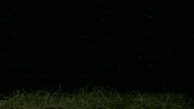 Soccer ball on grass with financial data processing animation overlay. Sports, finance, digital, analytics, technology, motion - Powered by Shutterstock - Get 15% off with code: PIKWIZARD15