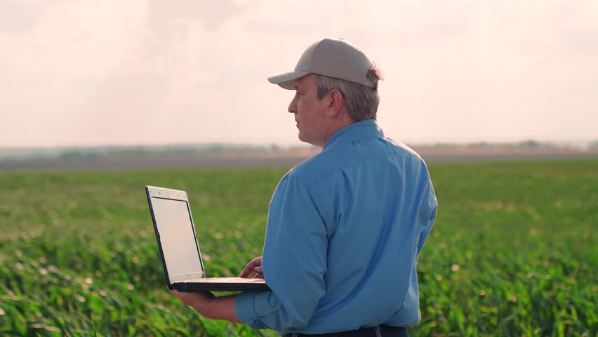 Male agronomist works with computer in green field, using modern digital technologies. Farmer in cornfield is working with laptop, business farm. Concept of farming. Farmer with laptop green cornfield