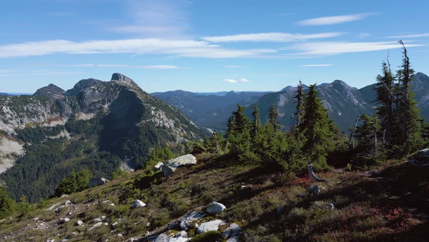 Mountain Landscape With Evergreen Forest in British Columbia, Canada