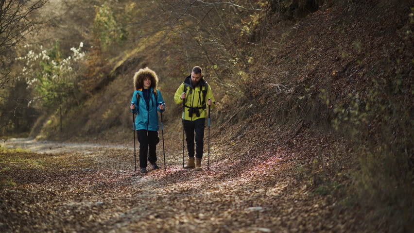 Active hikers navigating narrow forest trail, moving with synchronized trekking poles during scenic autumn day, sharing moments of outdoor adventure and connection