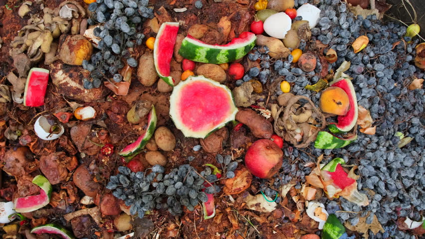 Eco-Friendly Composting: Turning Fruit and Vegetable Scraps into Organic Fertilizer. Compost Fruits and Vegetables in Compost Pile. Composting food scraps, organic waste