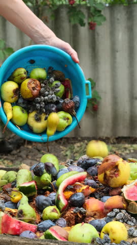 Organic waste falling from a bucket into a compost pit. Bio-waste recycling. Compost bin with organic waste. Bio food waste composting bin. Biodegradable material, organic recycling concept Vertical