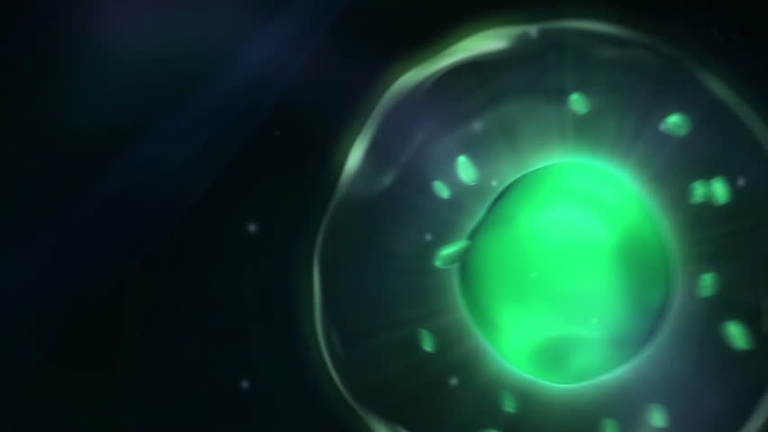 Stem cells rebuild the human body, youthful body, cell biology, 3d animation