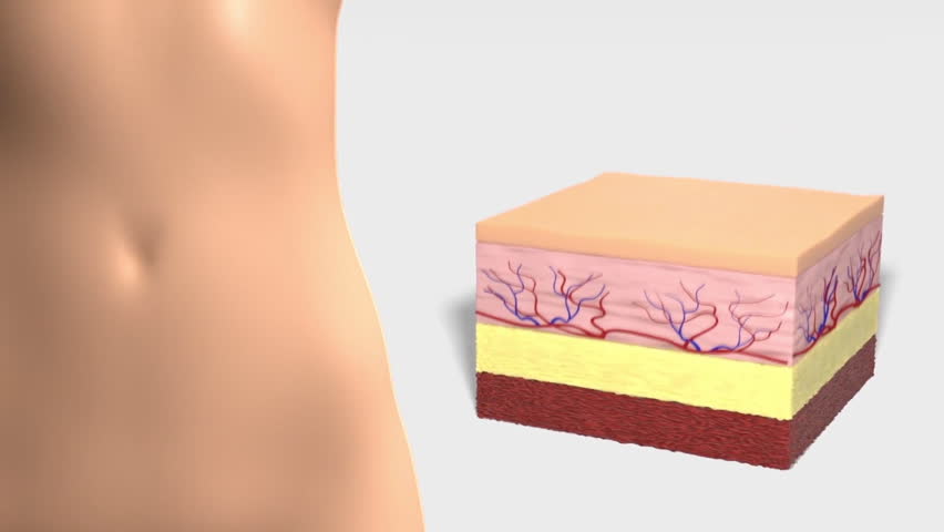 Fat burning, weight loss comparison, changes in female body, thick and thin waist before and after weight loss, sports training, 3D rendering.