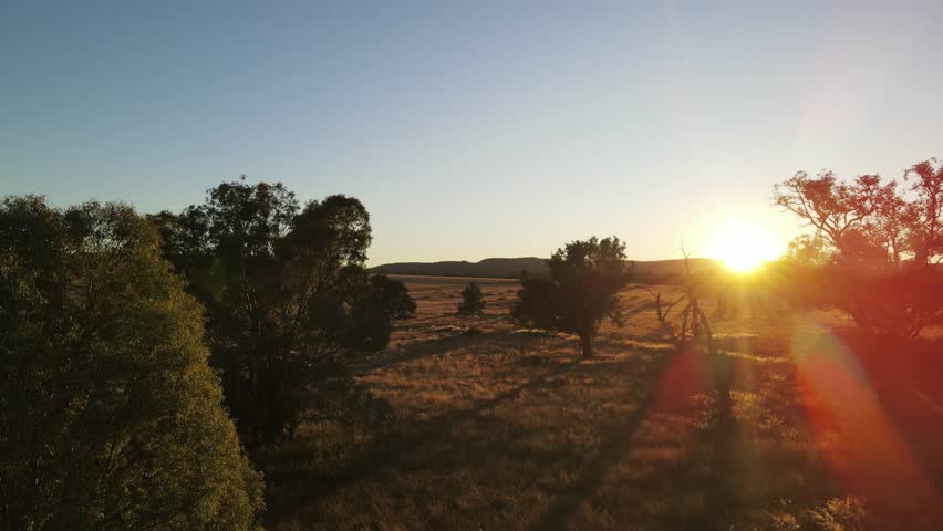 Drone Soaring Over Vast Australian Outback Grasslands at First Light