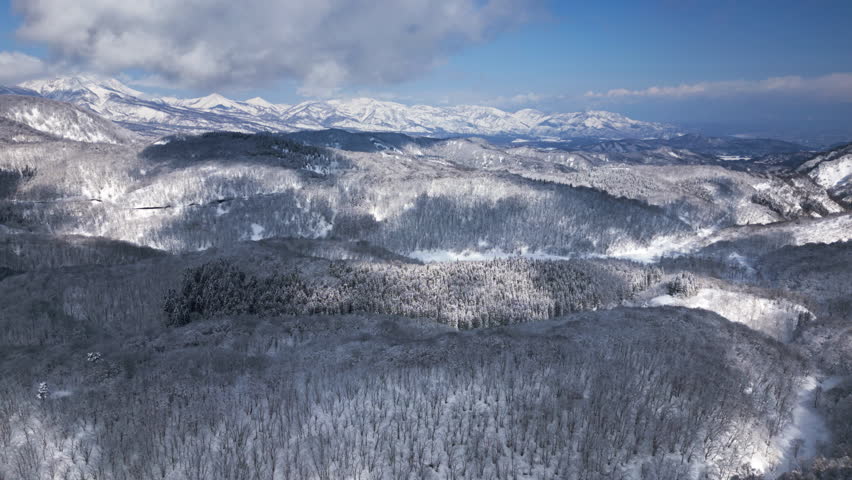 Snowy Nagano peaks and forest from above. Winter landscape aerial view in Japan.