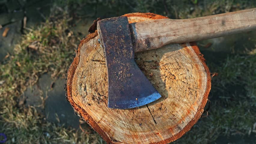 An old rusty axe on the background of a stack of firewood