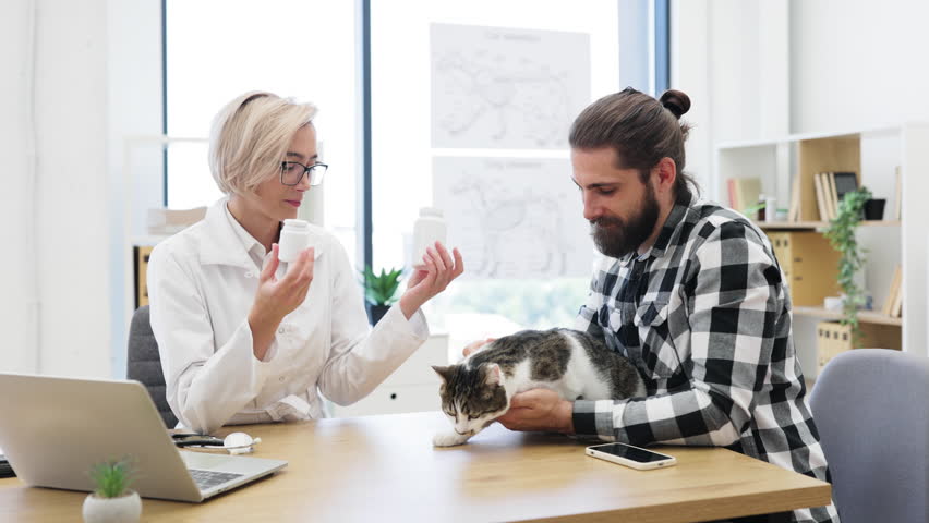 Male pet owner holding a cat consulting female veterinarian in bright office environment. Discussion involves animal health and medications for treatment or prevention.