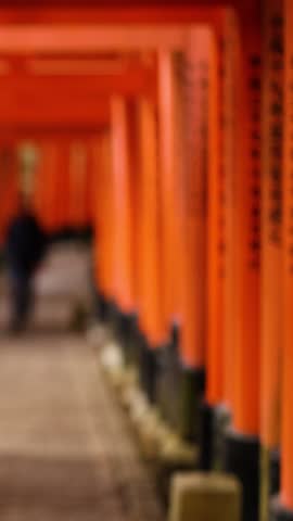 Person walking through vibrant orange torii gates