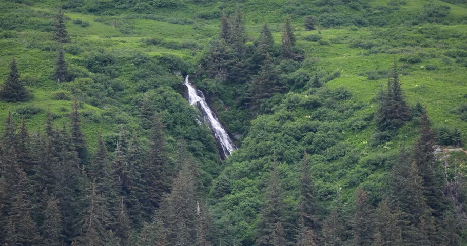 Waterfall and forest as seen sailing on the Gastineau Channel, Juneau, Alaska.