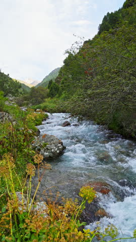mountain river with boulders between grass covered slopes at sunny autumn day in Kyrgyzstan, lockdown shot