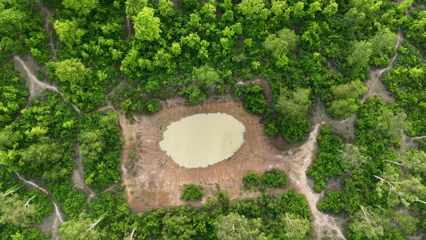 A cinematic high-angle view of a thriving forest in spring, with a shimmering lake nestled in its core. Ideal stock video for travel, environment, and seasonal storytelling.