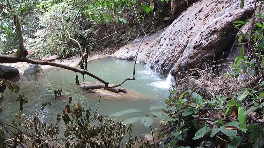Water flowing on the deep forest