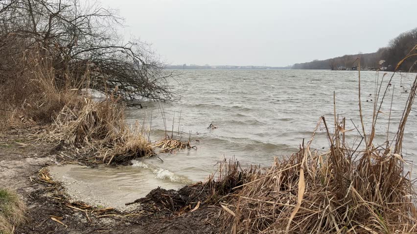 Stormy waves on river. Lake in windy and cloudy weather. Dirty autumn dry grass on beach. 