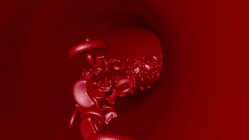 Sickle cell disease move inside blood vessel artery vein 4k. 3D Illustration
