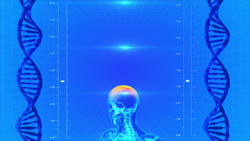 Seamless looping animation of X-Ray of Human skeleton on high tech background