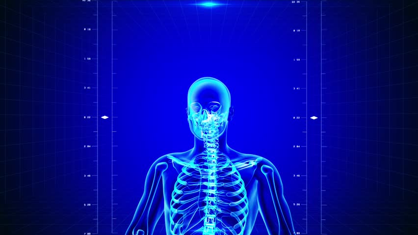Seamless looping animation of X-Ray of Human skeleton