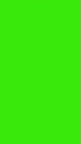 USD Dollar Bill Falling Money Green Screen Animation — Cash Rain Effect Vertical Video