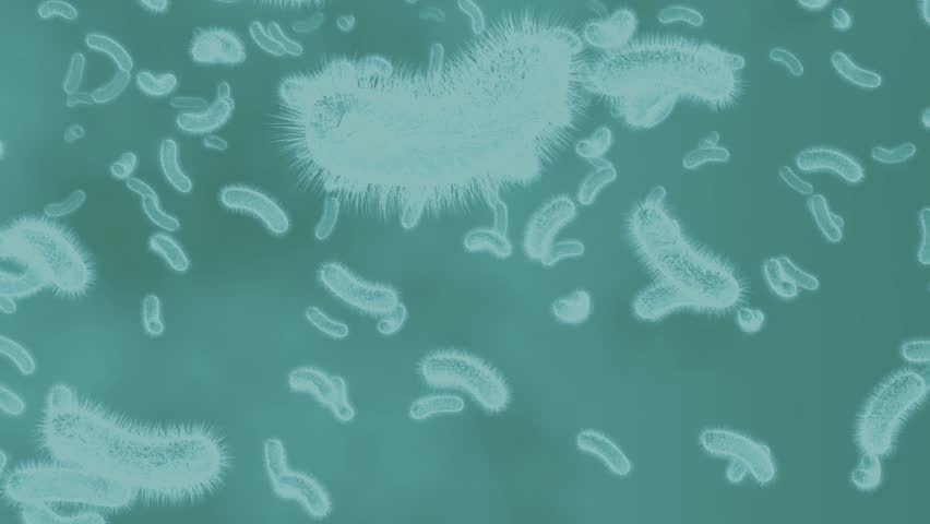 Realistic Microscopic Bacteria in 4K | Scientific Footage of Floating Microorganisms in Fluid
